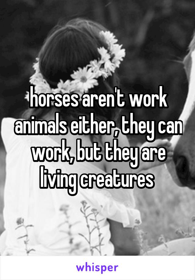 horses aren't work animals either, they can work, but they are living creatures 