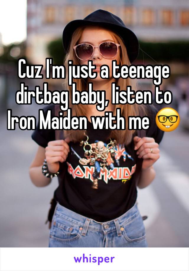 Cuz I'm just a teenage dirtbag baby, listen to Iron Maiden with me 🤓