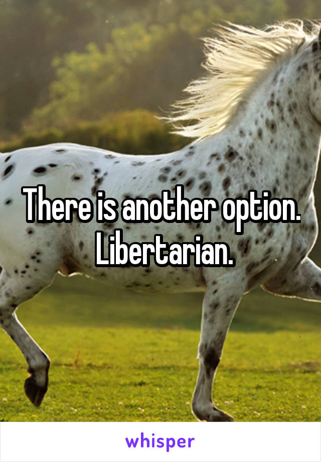 There is another option.  Libertarian.