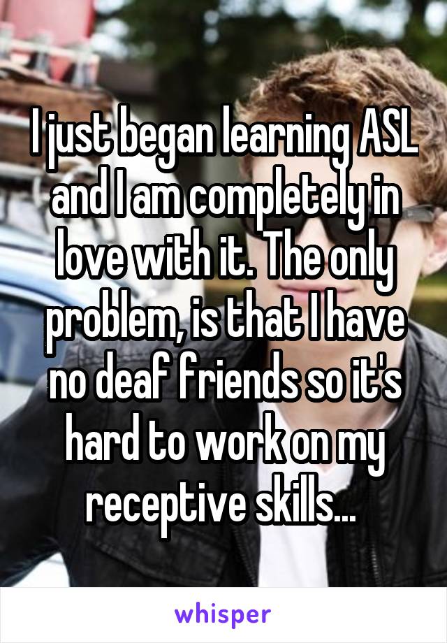 I just began learning ASL and I am completely in love with it. The only problem, is that I have no deaf friends so it's hard to work on my receptive skills... 