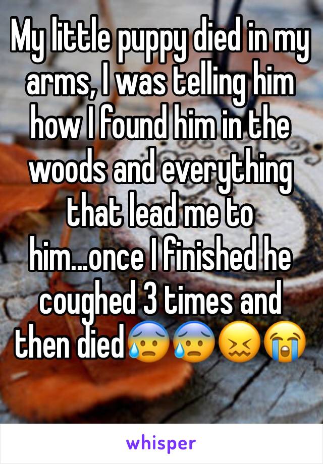 My little puppy died in my arms, I was telling him how I found him in the woods and everything that lead me to him...once I finished he coughed 3 times and then died😰😰😖😭