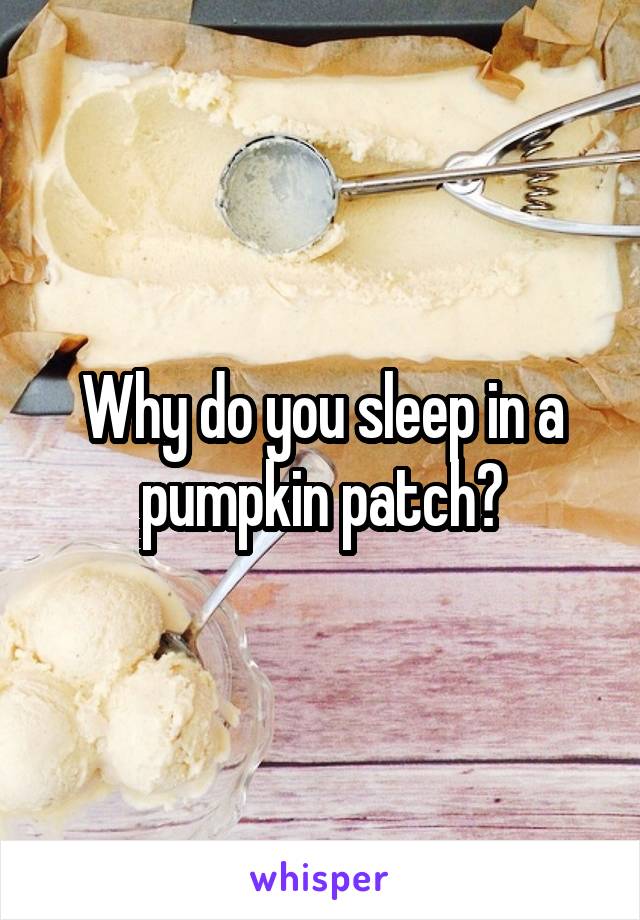 Why do you sleep in a pumpkin patch?