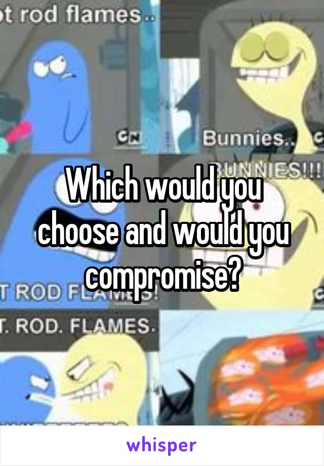 Which would you choose and would you compromise?