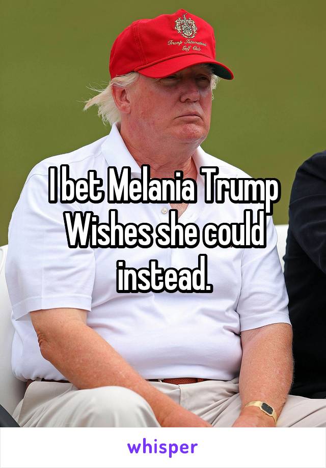 I bet Melania Trump
Wishes she could instead.