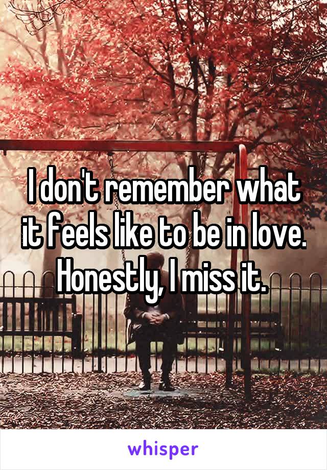 I don't remember what it feels like to be in love. Honestly, I miss it. 