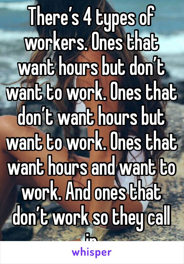 There’s 4 types of workers. Ones that want hours but don’t want to work. Ones that don’t want hours but want to work. Ones that want hours and want to work. And ones that don’t work so they call in