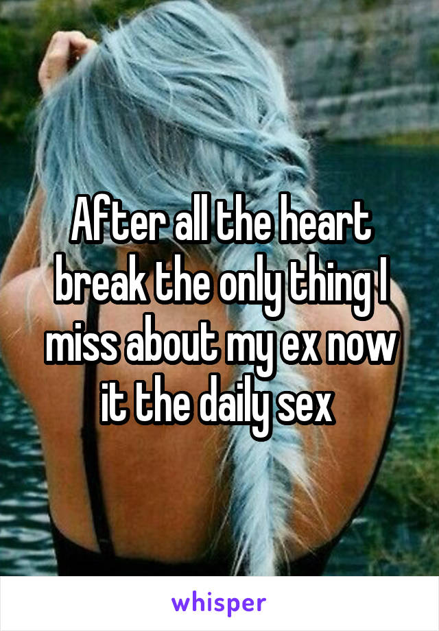 After all the heart break the only thing I miss about my ex now it the daily sex 