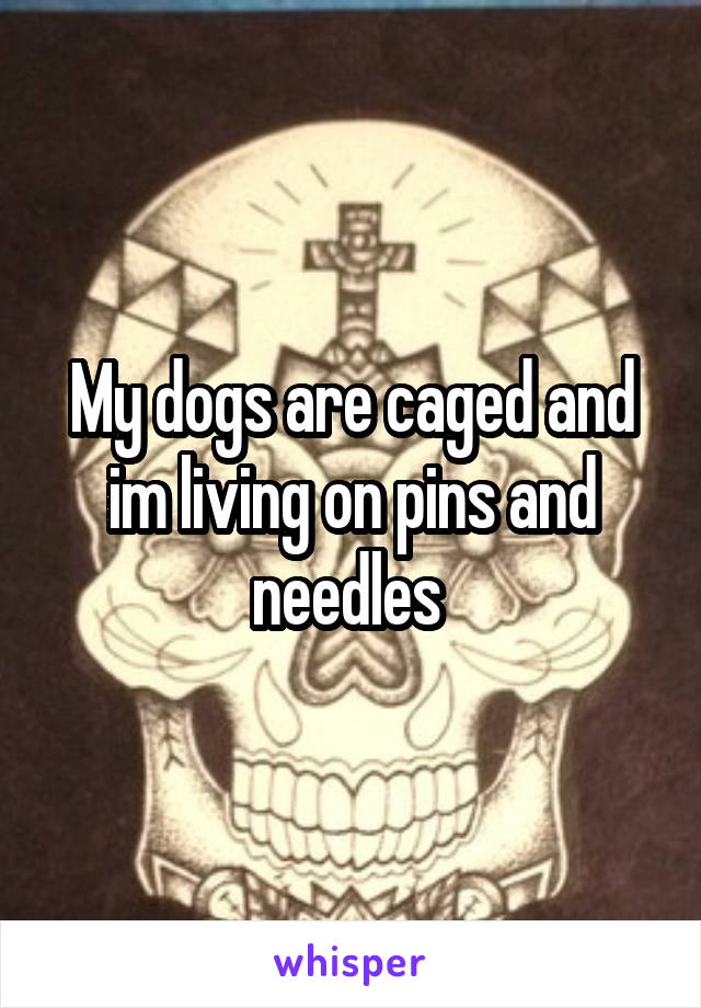 My dogs are caged and im living on pins and needles 