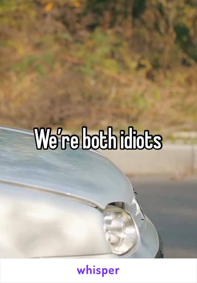 We’re both idiots 