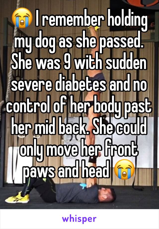 😭 I remember holding my dog as she passed. She was 9 with sudden severe diabetes and no control of her body past her mid back. She could only move her front paws and head 😭