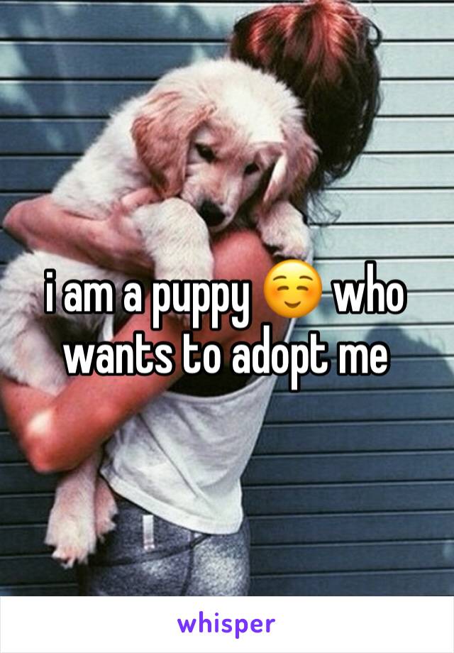 i am a puppy ☺️ who wants to adopt me