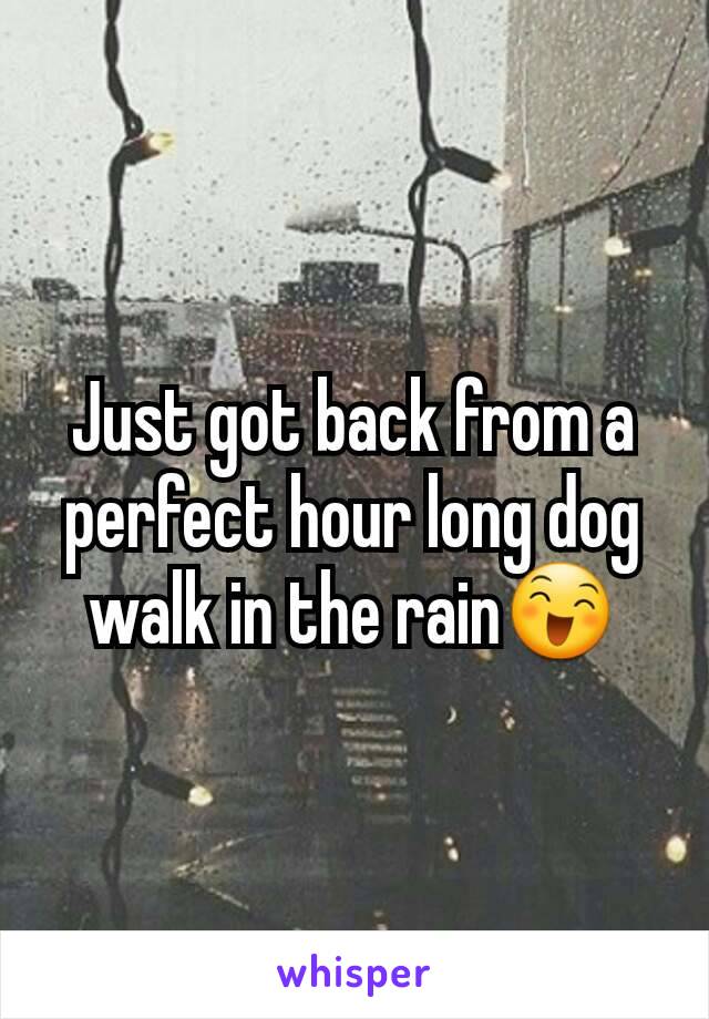 Just got back from a perfect hour long dog walk in the rain😄