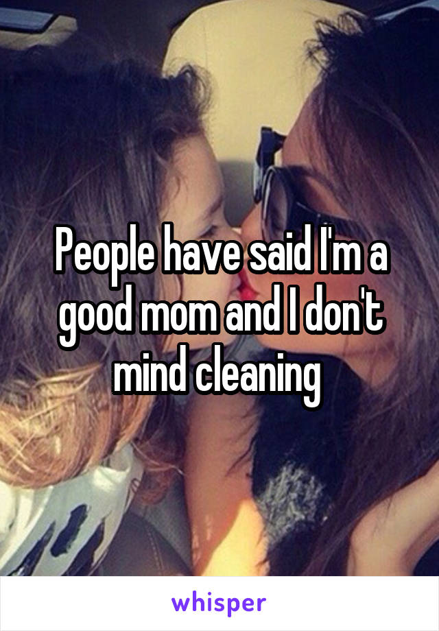 People have said I'm a good mom and I don't mind cleaning 