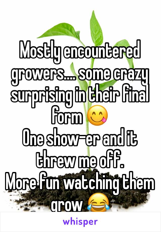 Mostly encountered growers.... some crazy surprising in their final form 😋
One show-er and it threw me off. 
More fun watching them grow 😂