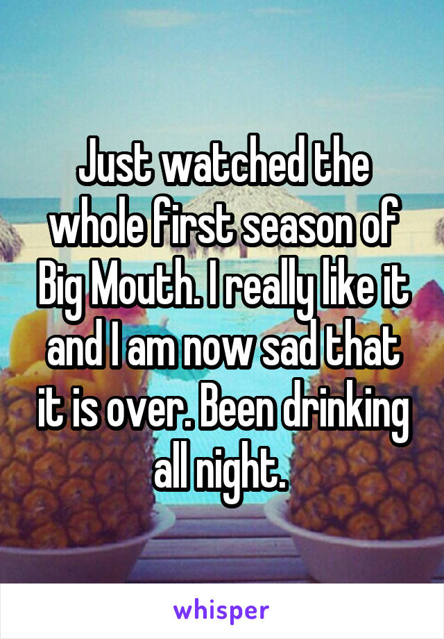 Just watched the whole first season of Big Mouth. I really like it and I am now sad that it is over. Been drinking all night. 