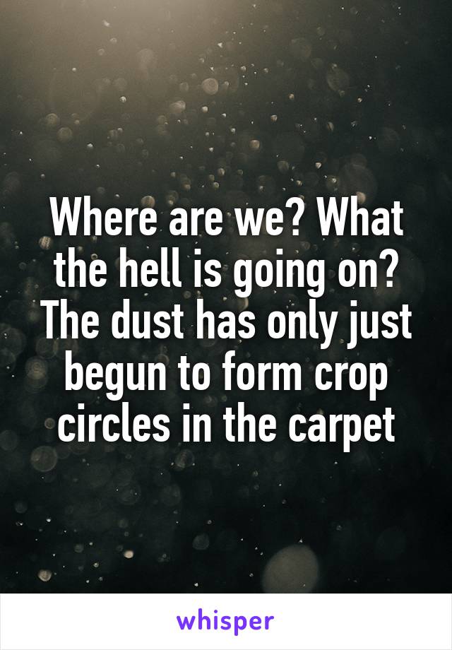 Where are we? What the hell is going on?
The dust has only just begun to form crop circles in the carpet