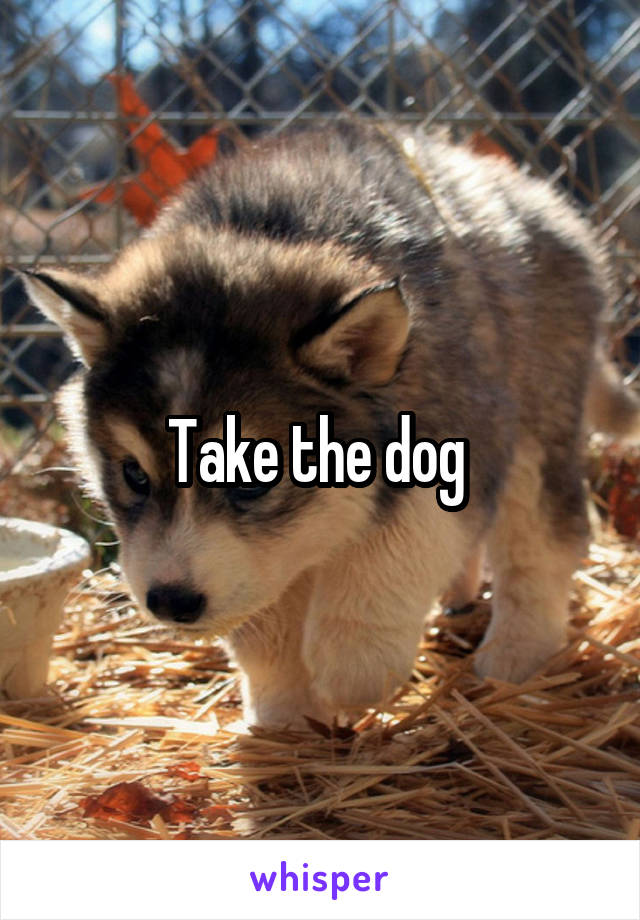 Take the dog 