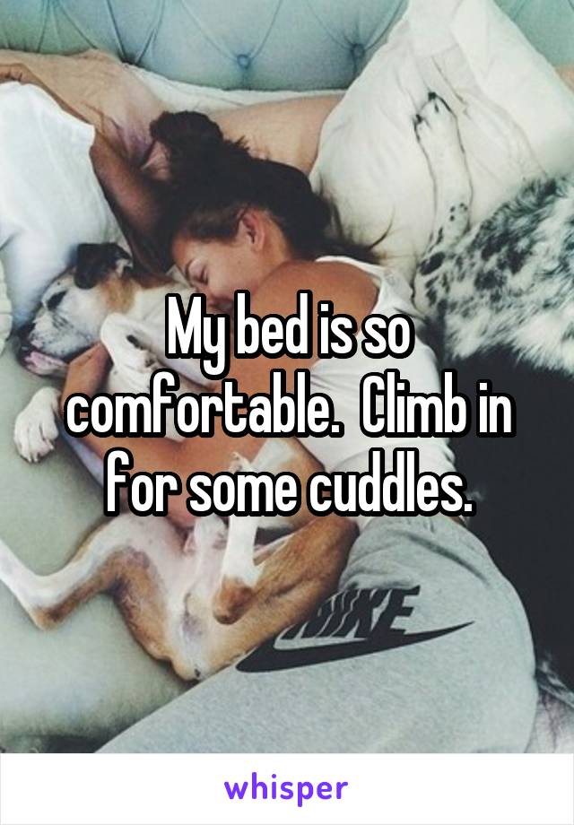 My bed is so comfortable.  Climb in for some cuddles.