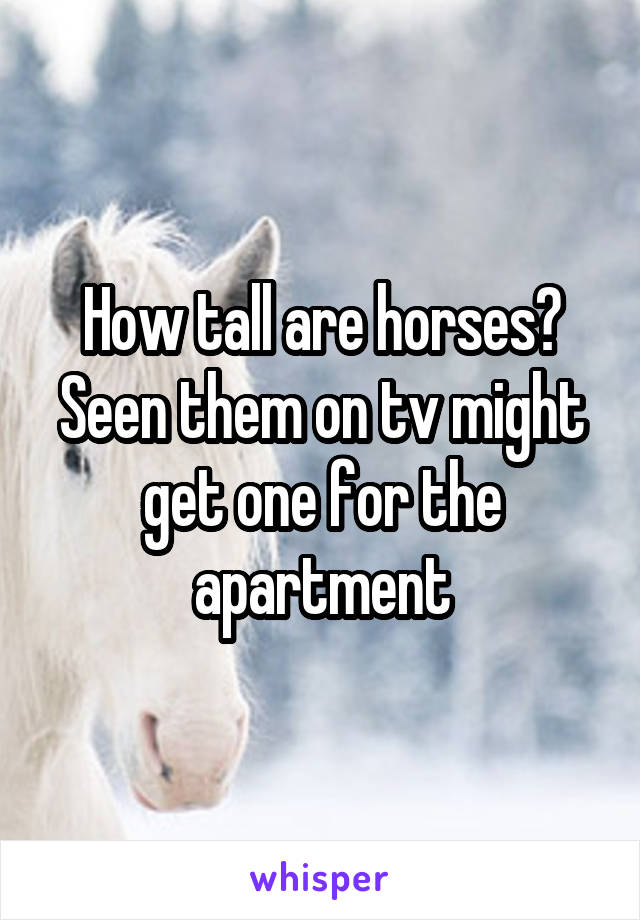 How tall are horses? Seen them on tv might get one for the apartment