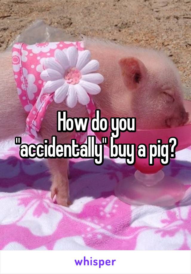How do you "accidentally" buy a pig?