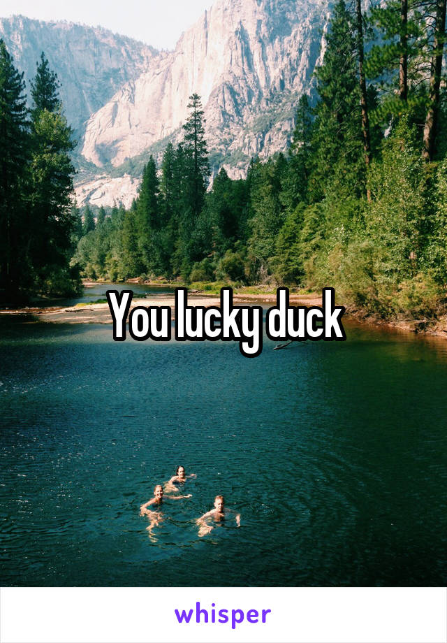 You lucky duck