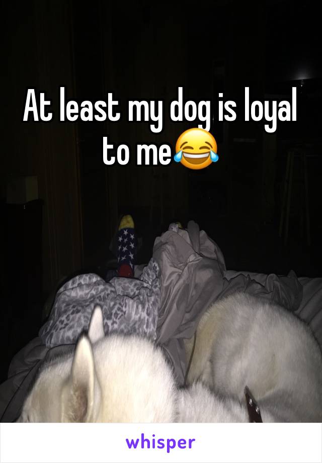 At least my dog is loyal to me😂