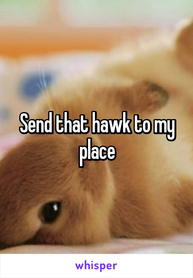 Send that hawk to my place