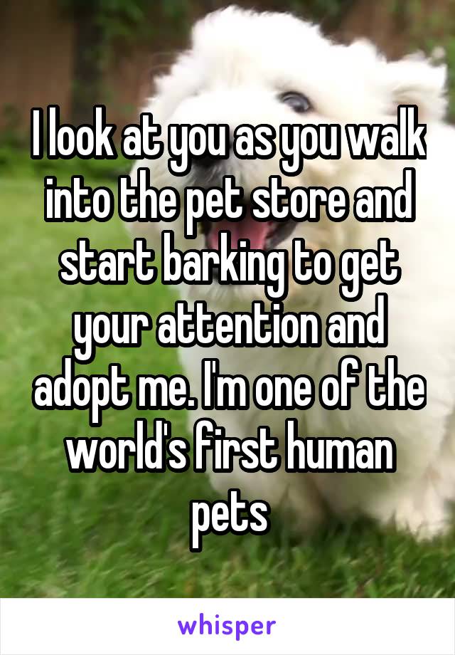 I look at you as you walk into the pet store and start barking to get your attention and adopt me. I'm one of the world's first human pets