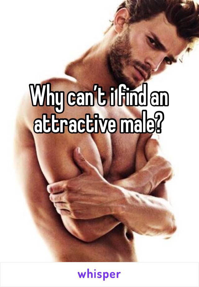 Why can’t i find an attractive male?