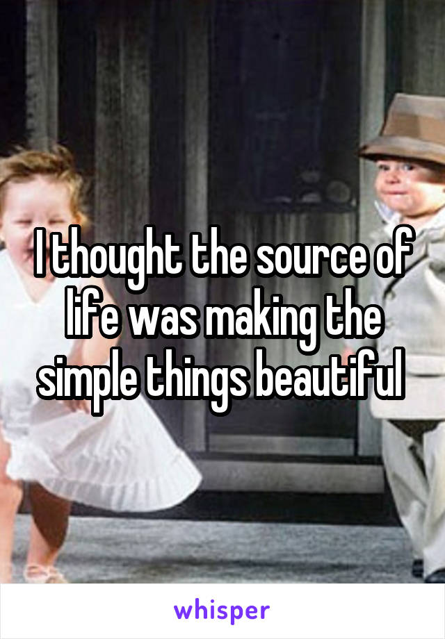I thought the source of life was making the simple things beautiful 