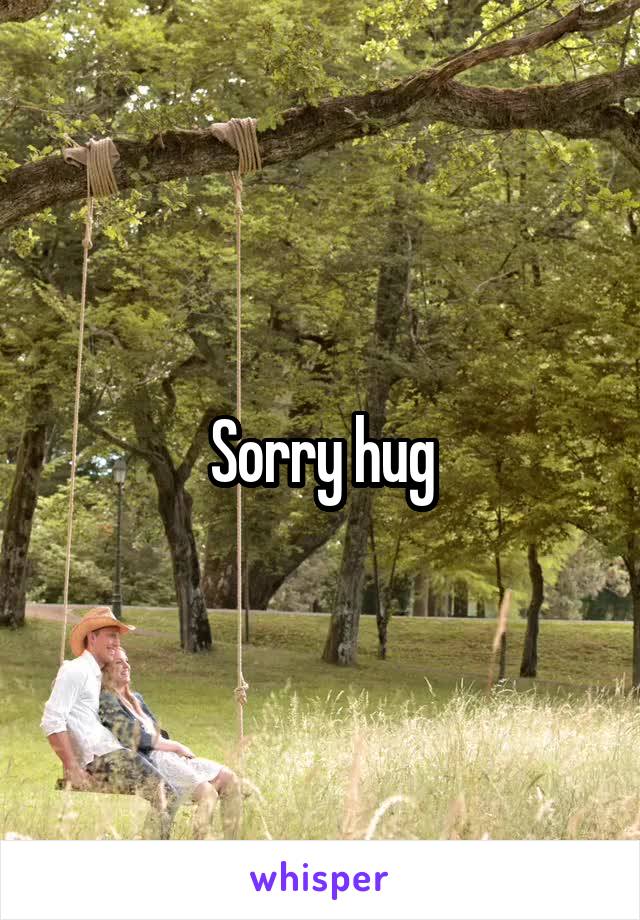 Sorry hug