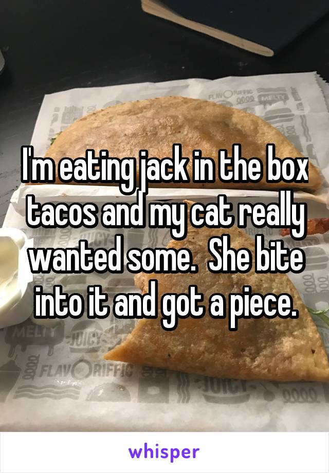 I'm eating jack in the box tacos and my cat really wanted some.  She bite into it and got a piece.