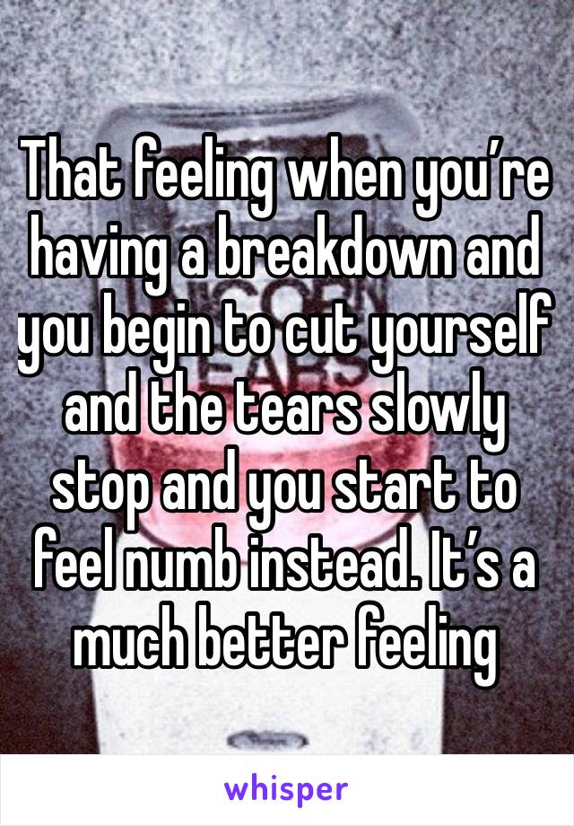 That feeling when you’re having a breakdown and you begin to cut yourself and the tears slowly stop and you start to feel numb instead. It’s a much better feeling