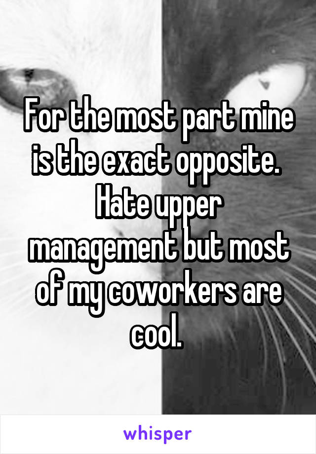 For the most part mine is the exact opposite.  Hate upper management but most of my coworkers are cool. 