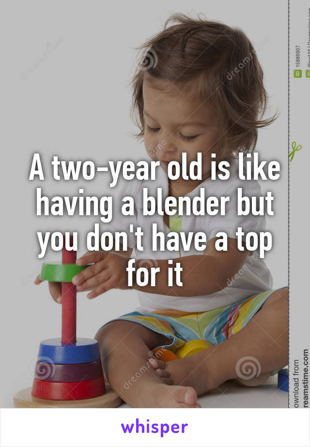 A two-year old is like having a blender but you don't have a top for it
