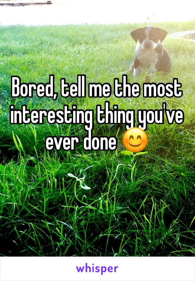 Bored, tell me the most interesting thing you've ever done 😊