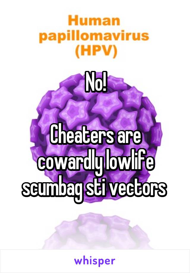 No!

Cheaters are cowardly lowlife scumbag sti vectors 