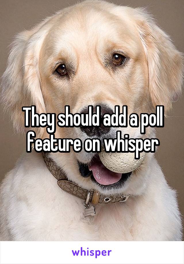They should add a poll feature on whisper