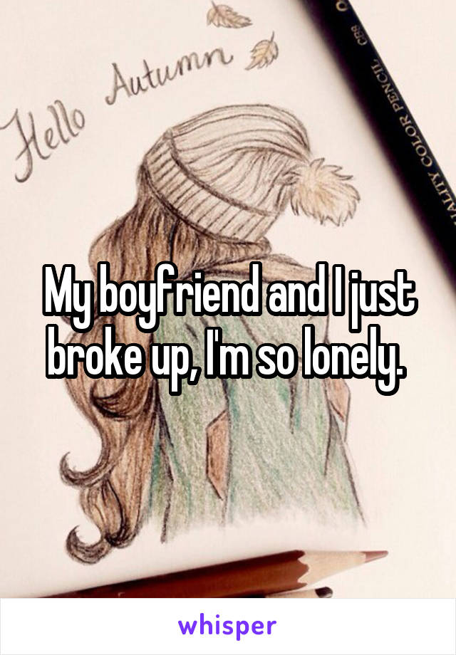 My boyfriend and I just broke up, I'm so lonely. 