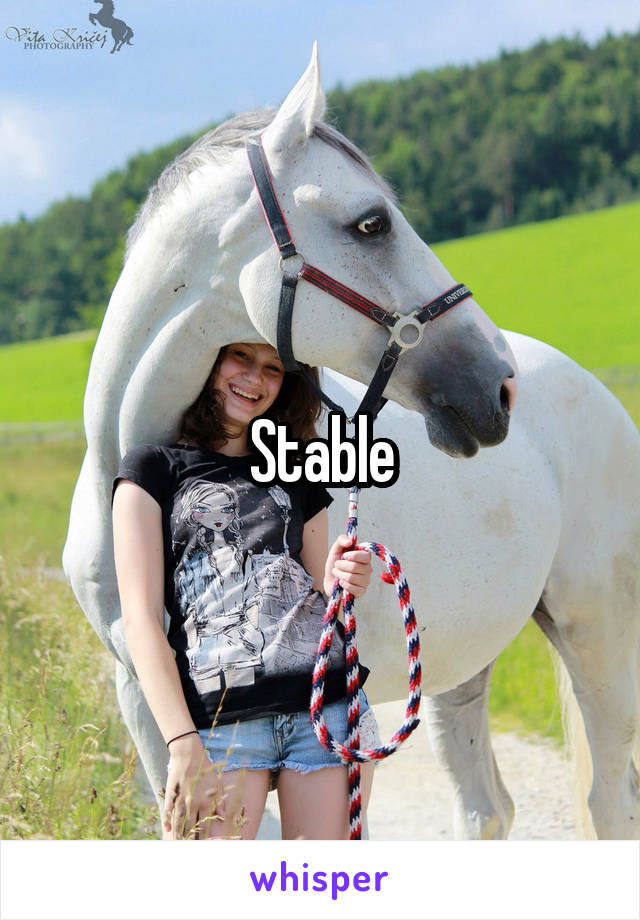 Stable