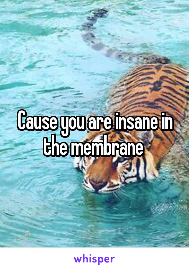 Cause you are insane in the membrane 
