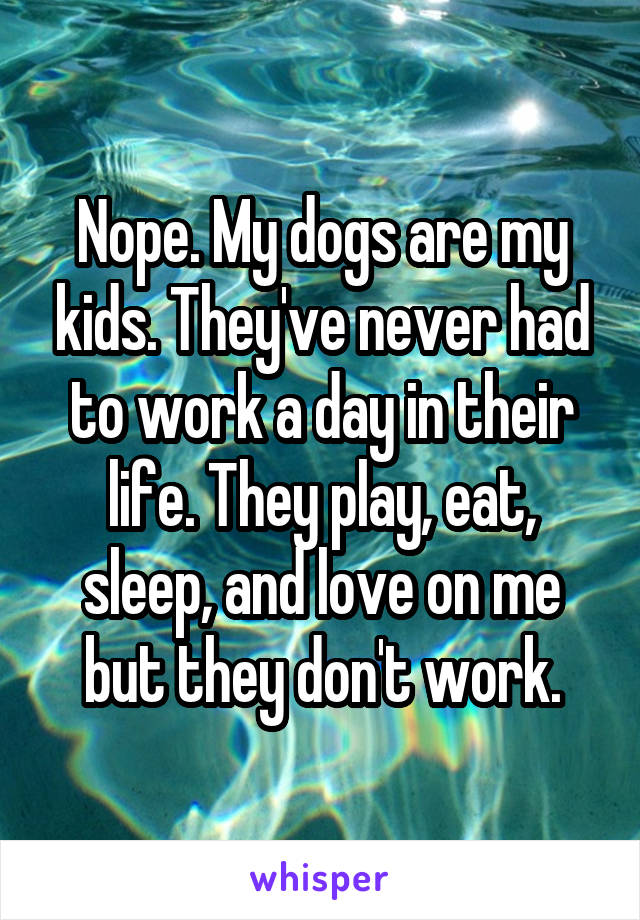 Nope. My dogs are my kids. They've never had to work a day in their life. They play, eat, sleep, and love on me but they don't work.