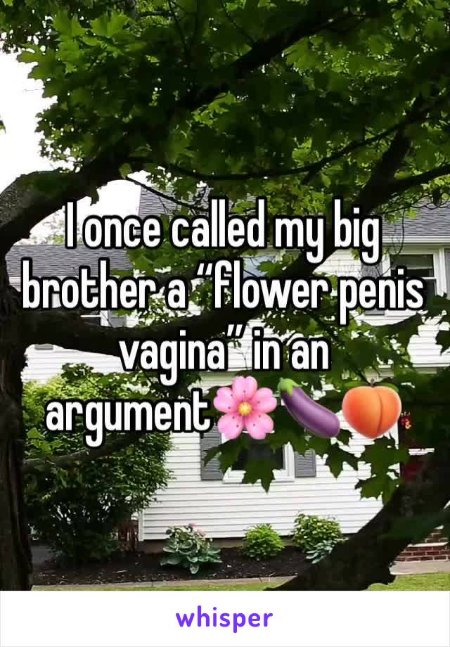 I once called my big brother a “flower penis vagina” in an argument🌸🍆🍑