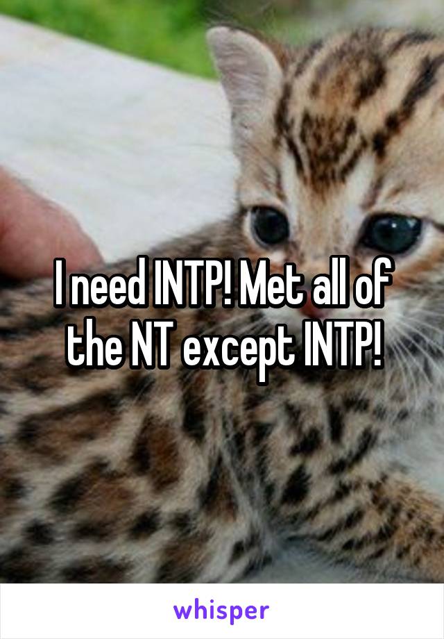 I need INTP! Met all of the NT except INTP!