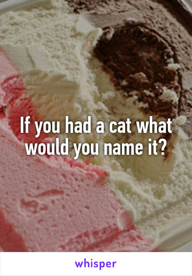 If you had a cat what would you name it?