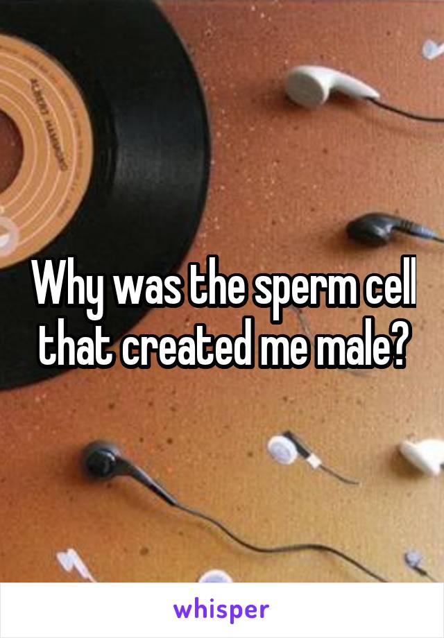 Why was the sperm cell that created me male?