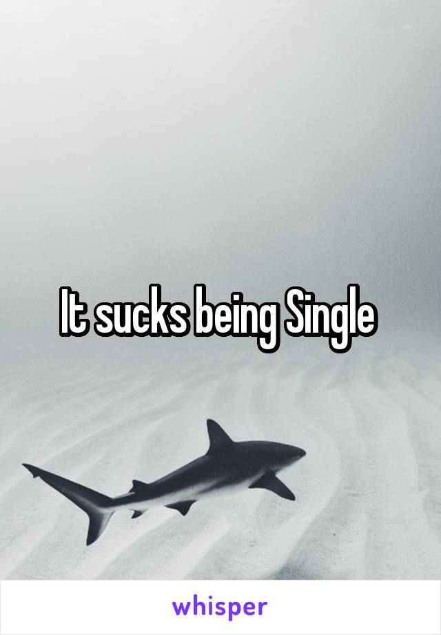 It sucks being Single 