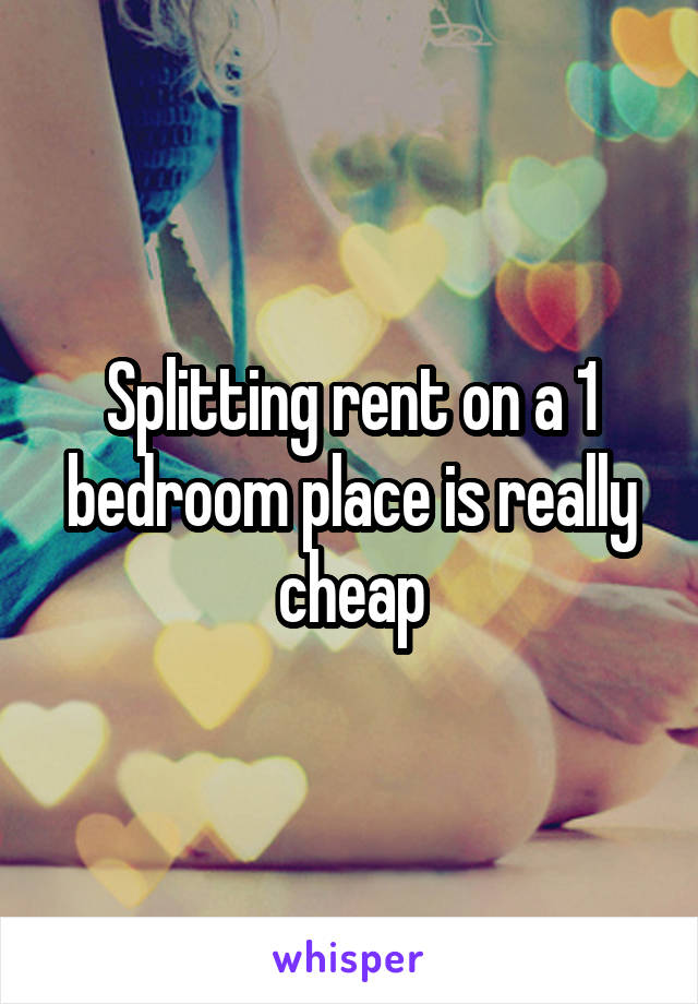 Splitting rent on a 1 bedroom place is really cheap