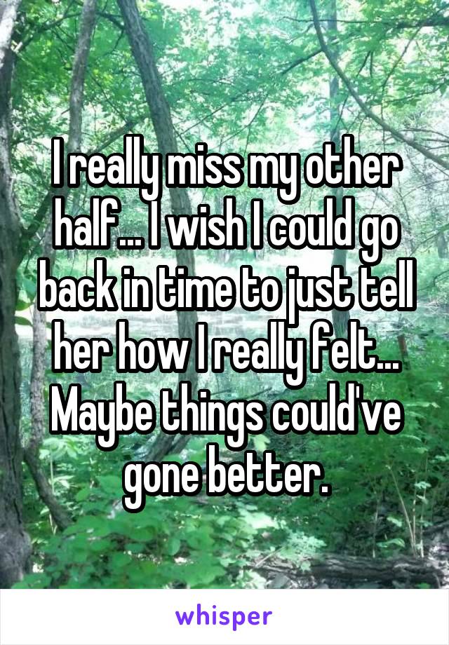 I really miss my other half... I wish I could go back in time to just tell her how I really felt... Maybe things could've gone better.