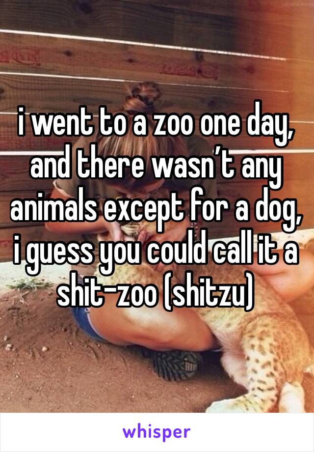 i went to a zoo one day, and there wasn’t any animals except for a dog, i guess you could call it a shit-zoo (shitzu)